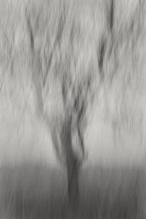 01_05657 copy
