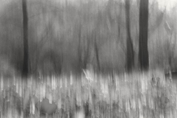 01_06518 copy