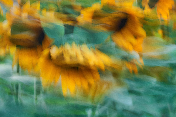 S1_00394