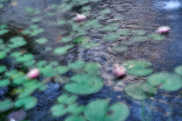 01_09328_1