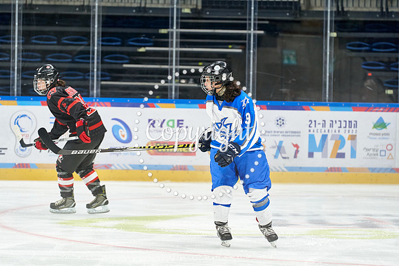 IMAGE_01485