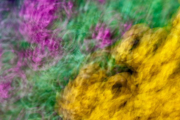 S1_04567
