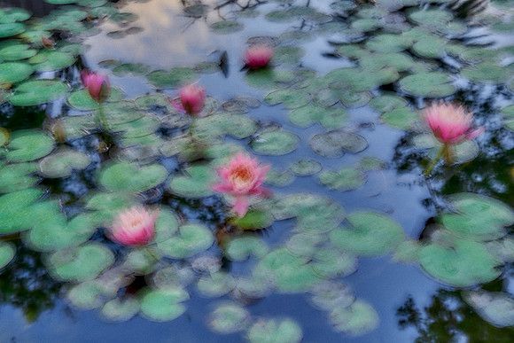 01_09177