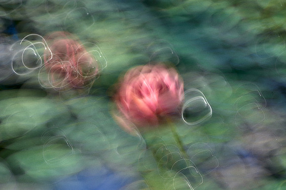 2023_04_18_226