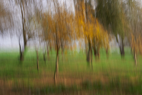 S2_03908