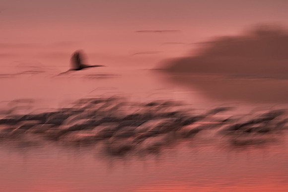 S2_00810