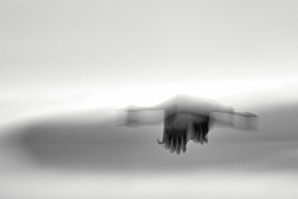 S2_00935