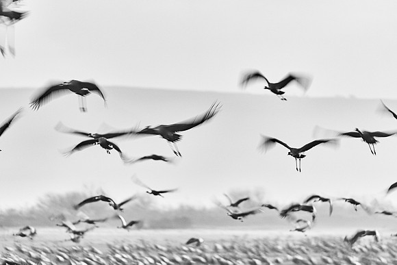 S2_02996