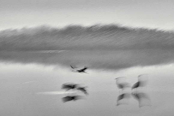 S2_01517_2