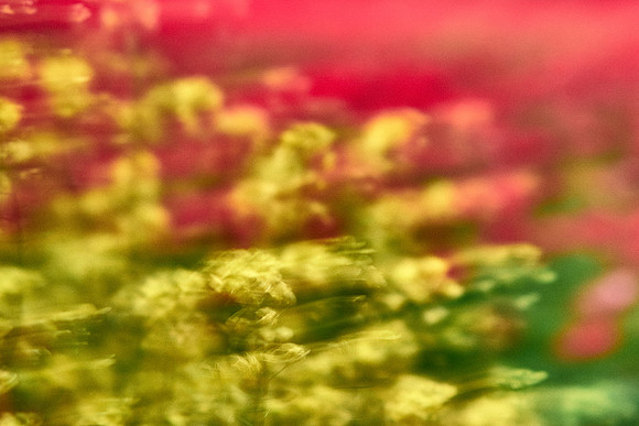 S1_07610