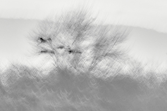 S2_01677_1