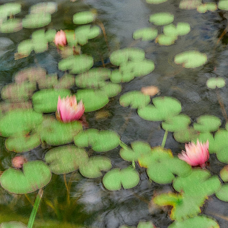 01_08961