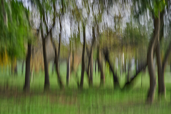 S2_03791