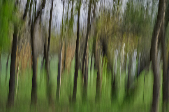 S2_03783