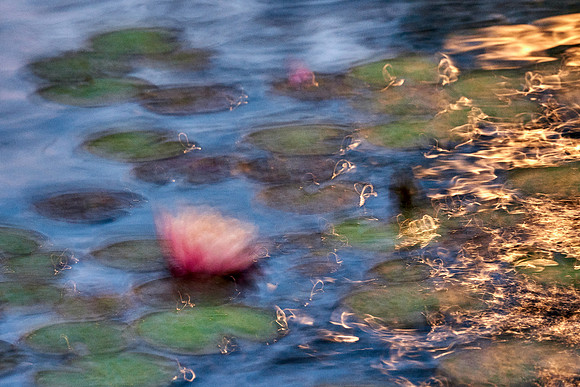 01_09584