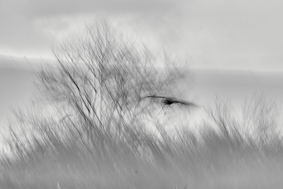 S2_01889_1