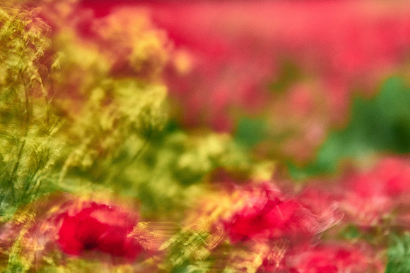 S1_07623