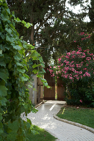 IMAGE_005