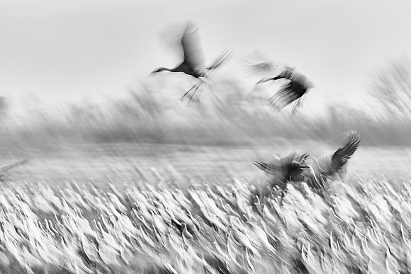 S2_02955_1