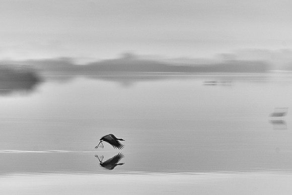 S2_01565_1