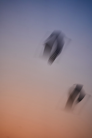 S2_00651