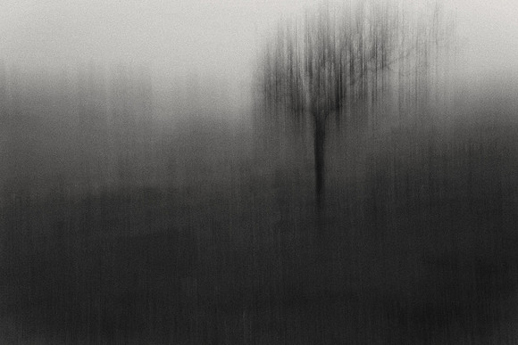 01_05395 copy