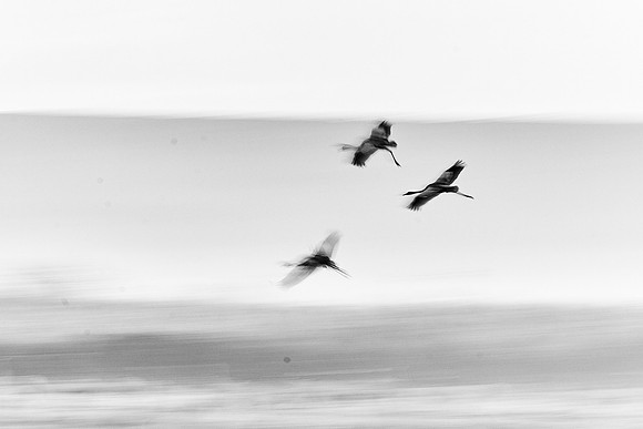 S2_01919_2