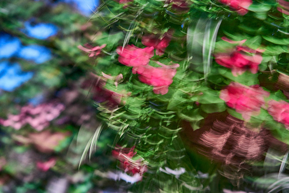 S1_04616