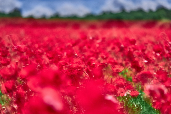 S1_07701