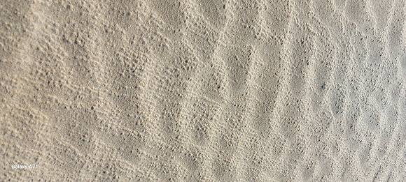 20250107_090709