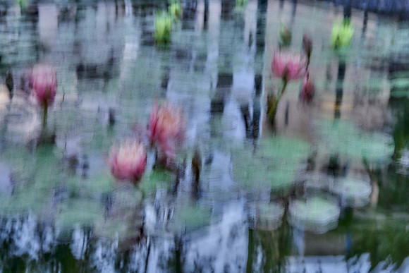 01_09251