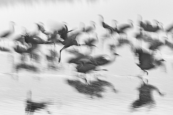 S2_01021_1