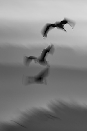 S2_00363_1