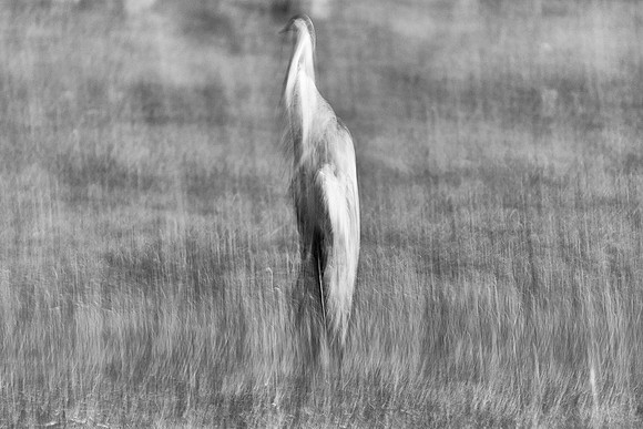 S2_03590_1