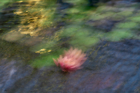 01_09502