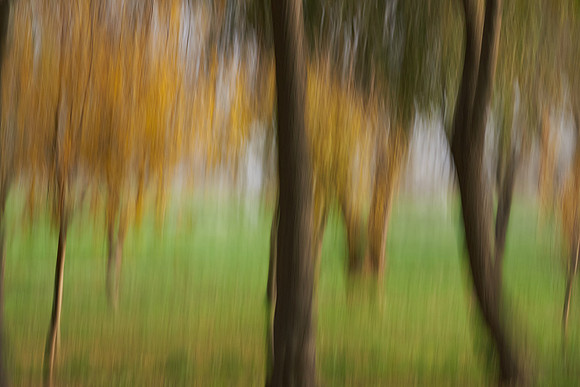 S2_03851_1