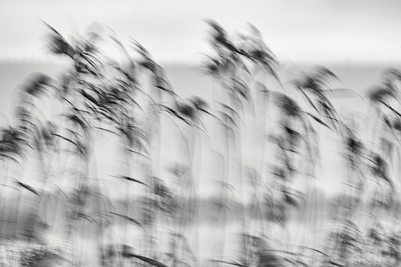 S2_01640_1