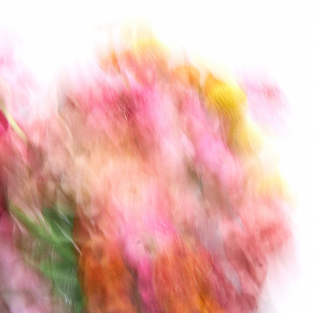 S1_09204