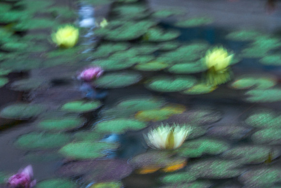 01_09443_1