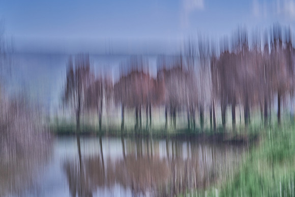 4960_AGMON_HAHULA_2025_03_01