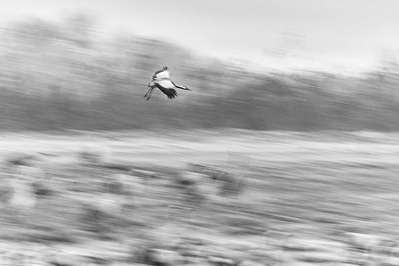 S2_01735_1