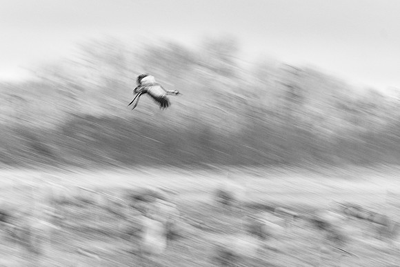 S2_01733_5