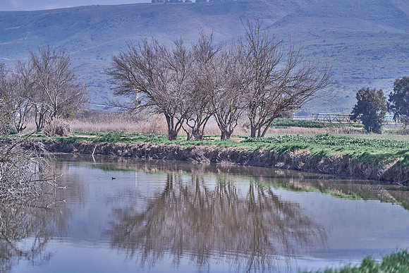 5002_AGMON_HAHULA_2025_03_01