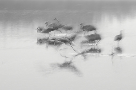 S2_01253_1