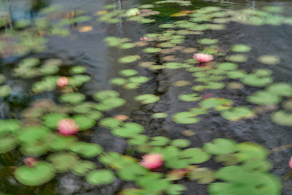 01_08988_1