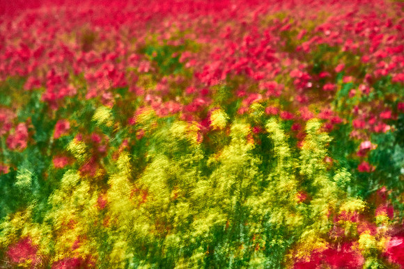 S1_07720_1