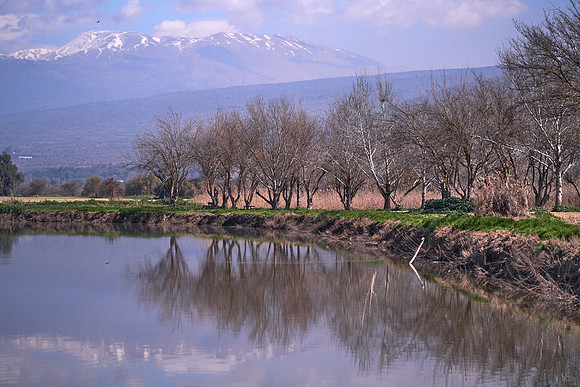 5044_AGMON_HAHULA_2025_03_01_2