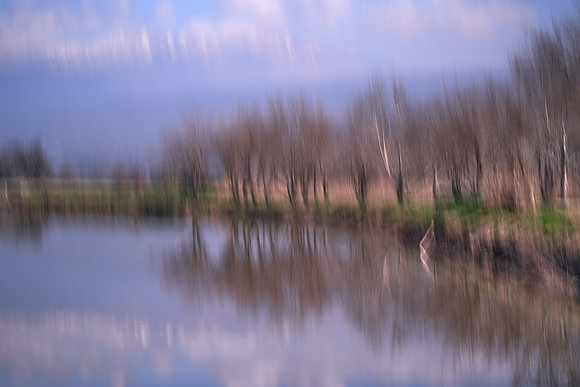 5060_AGMON_HAHULA_2025_03_01