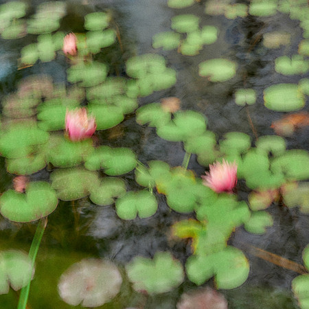 01_08962_2