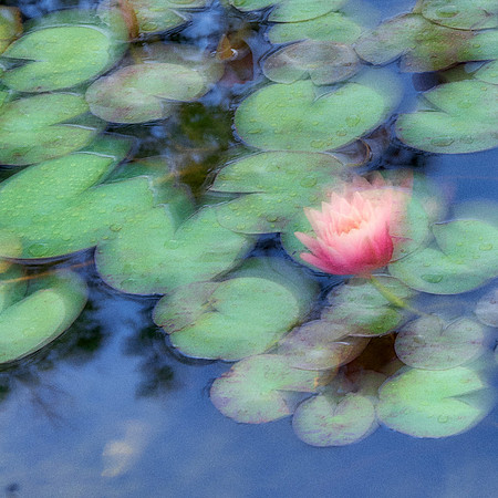 01_09039